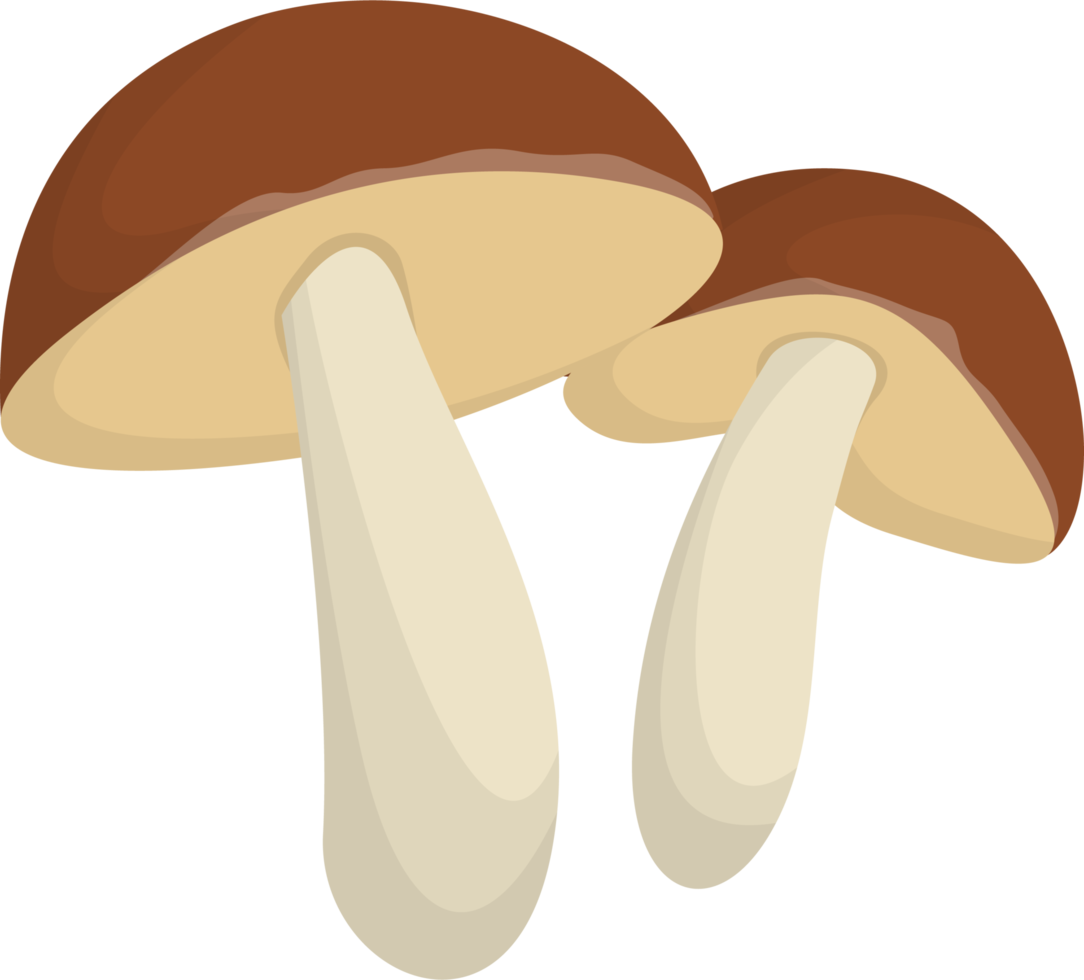 Mushrooms white forest. png