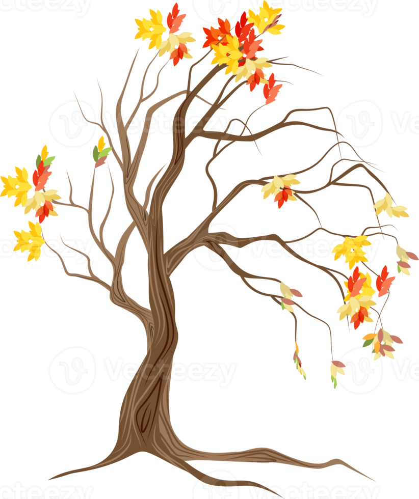 Autumn tree with fallen leaves. png