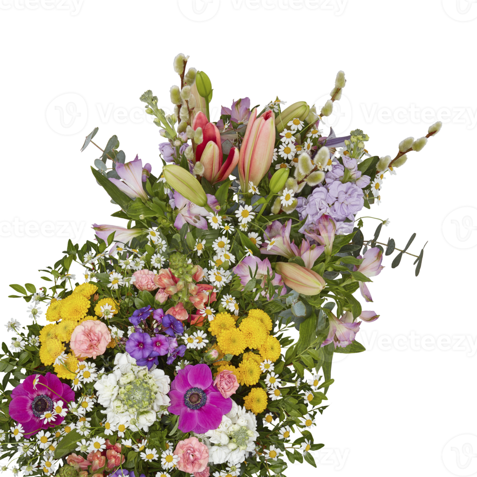 Fresh and colorful bouquet of flowers blooming beautiful first cut out transparent background png