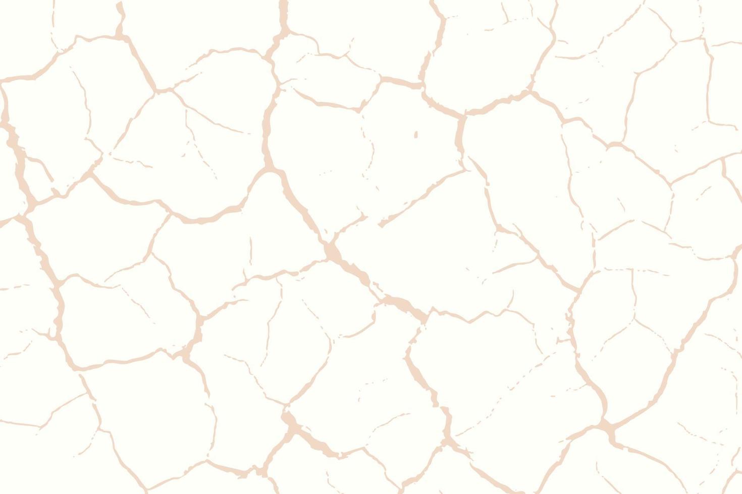 Abstract cracked damage ground white background vector