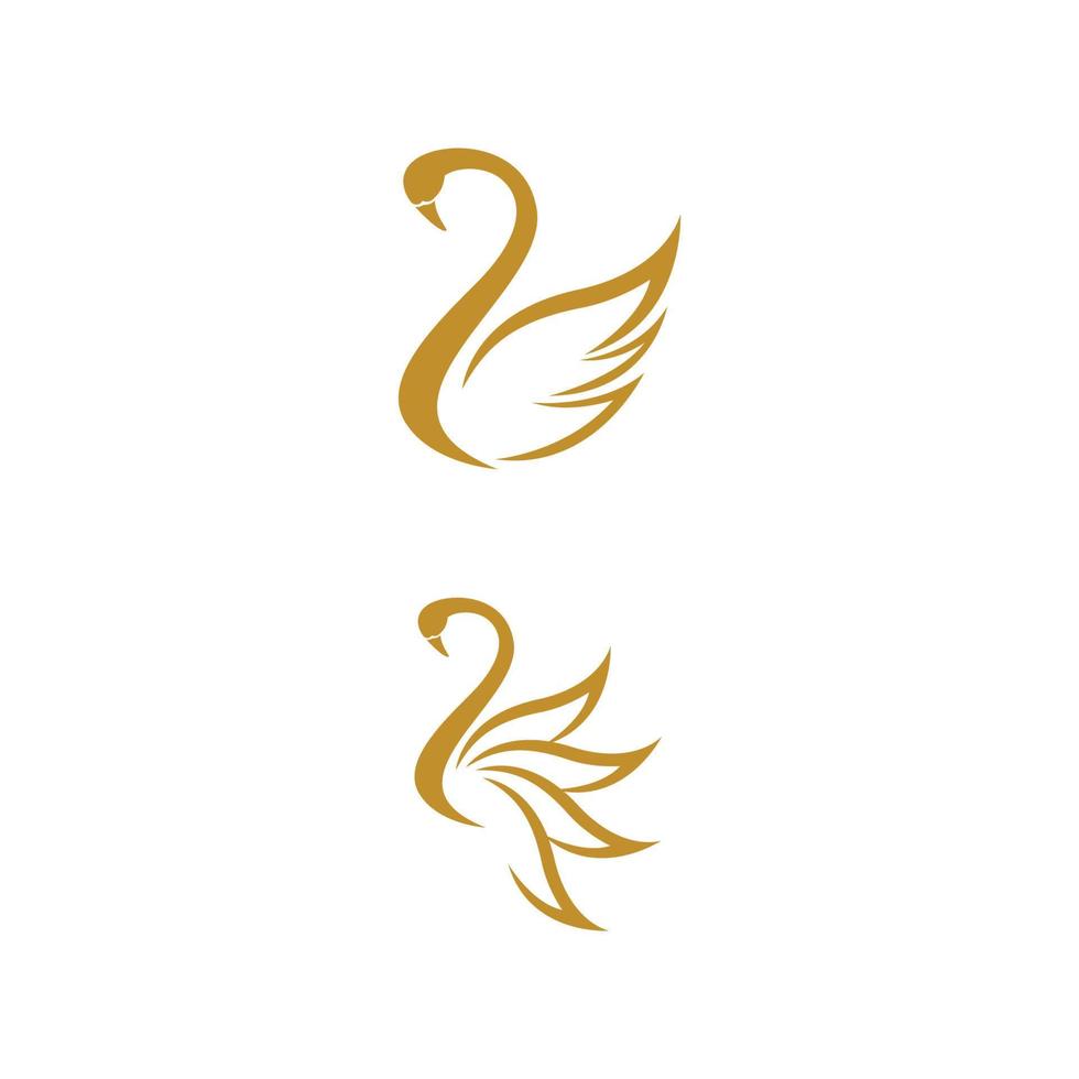 Swan icon Template vector illustration