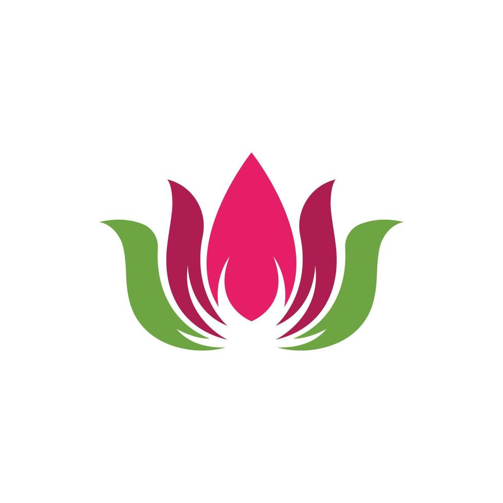 beauty lotus flower vector icon