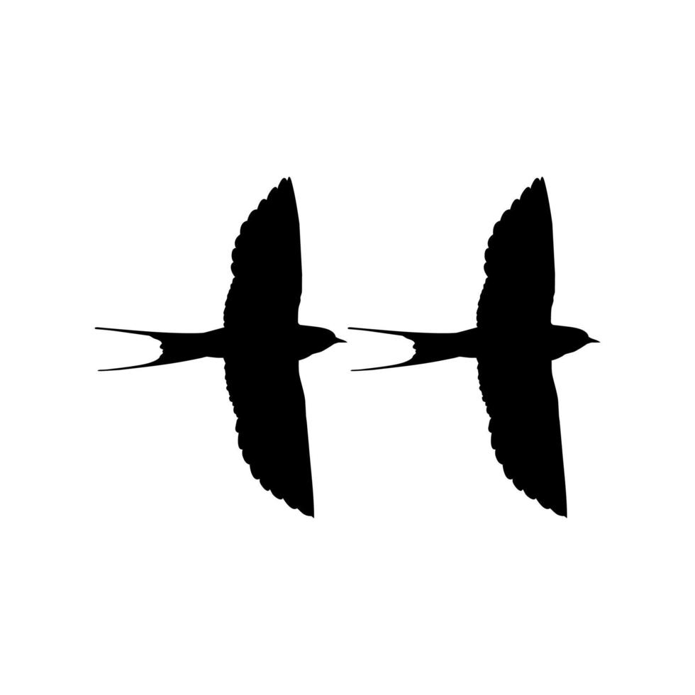 Pair of the Flying Swallow Bird Silhouette for Logo, Pictogram, Website. Art Illustration or Graphic Design Element. Vector Illustration