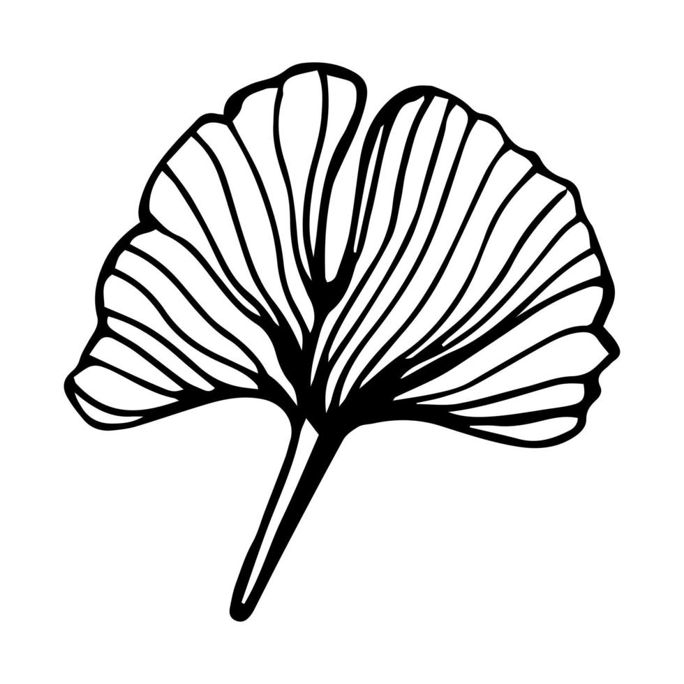 rama de ginkgo biloba con hojas línea de contorno dibujada a mano. arte floral vectorial en un estilo minimalista moderno. vector