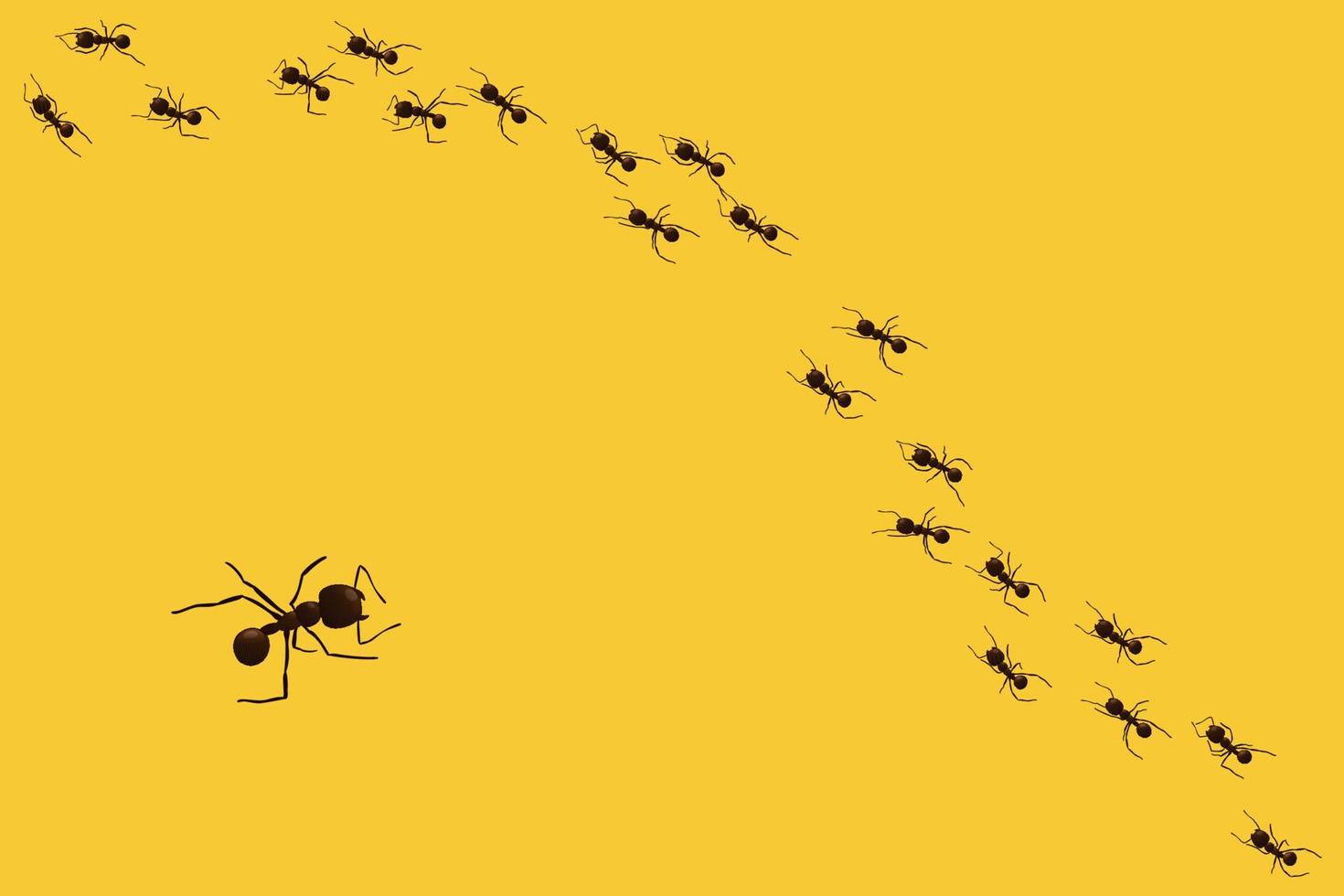 Black ant trail. Working insect curve group silhouettes isolated. Vector illustration.