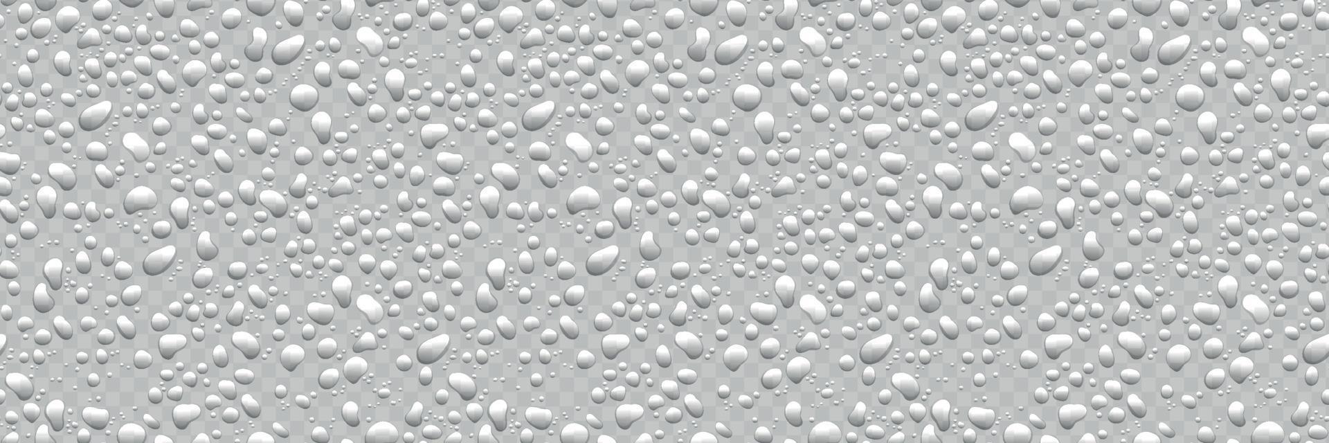 Water drops on white background. Condensation of realistic pure rain droplets vector