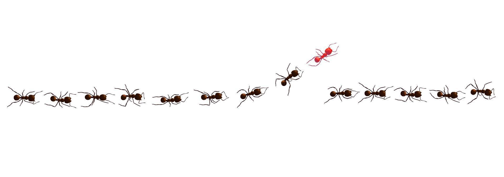 Black ant trail. Working insect curve group silhouettes isolated. Vector illustration.