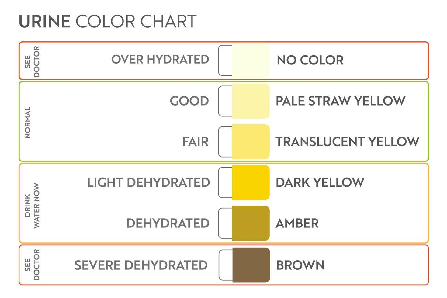 Urine color chart. Pee hydration and dehydration test strip. Vector design for medical education poster.