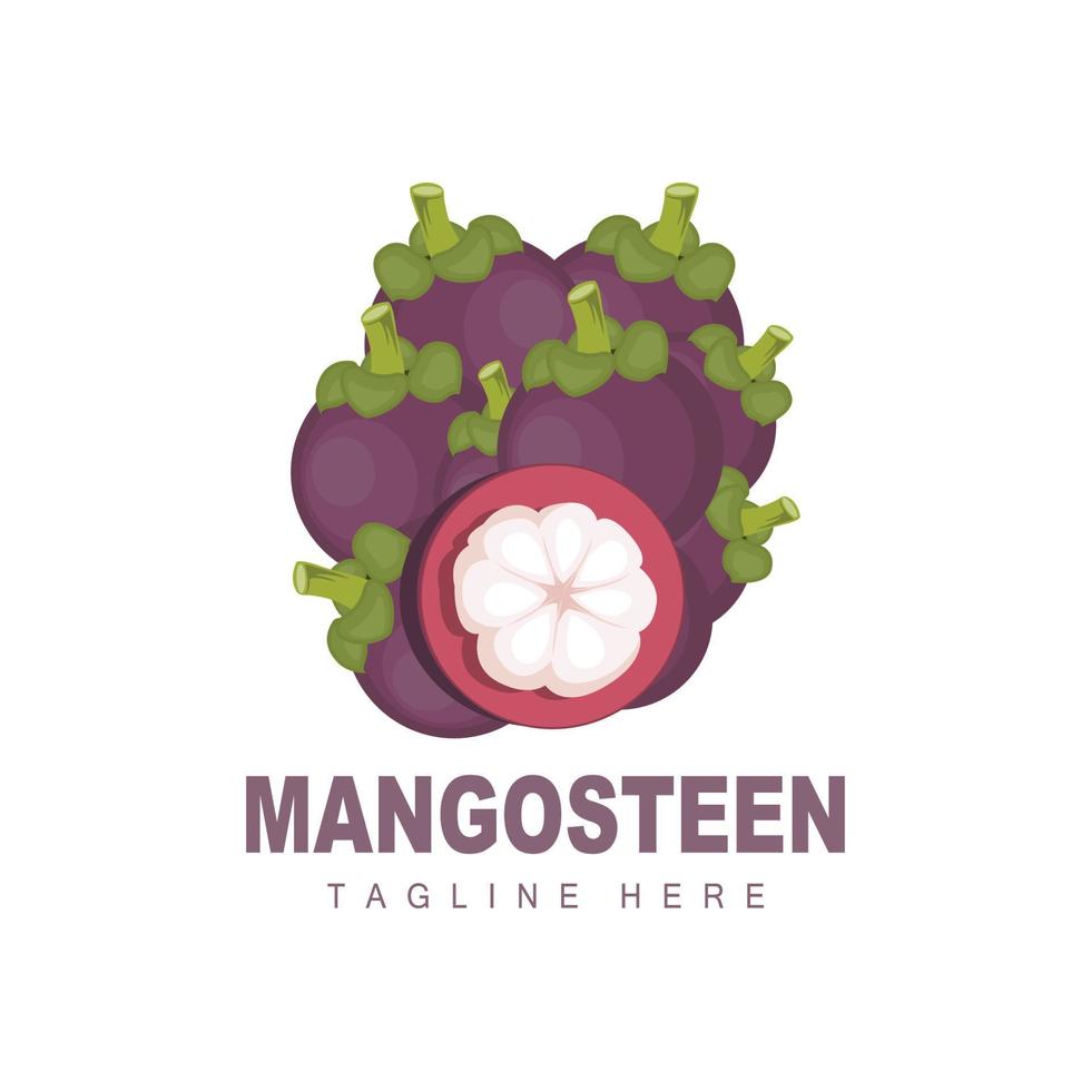 Mangosteen Logo Design, Fresh Fruit Vector for Skin Health, Fruit Shop Brand Illustration And Natural Skin Medicine