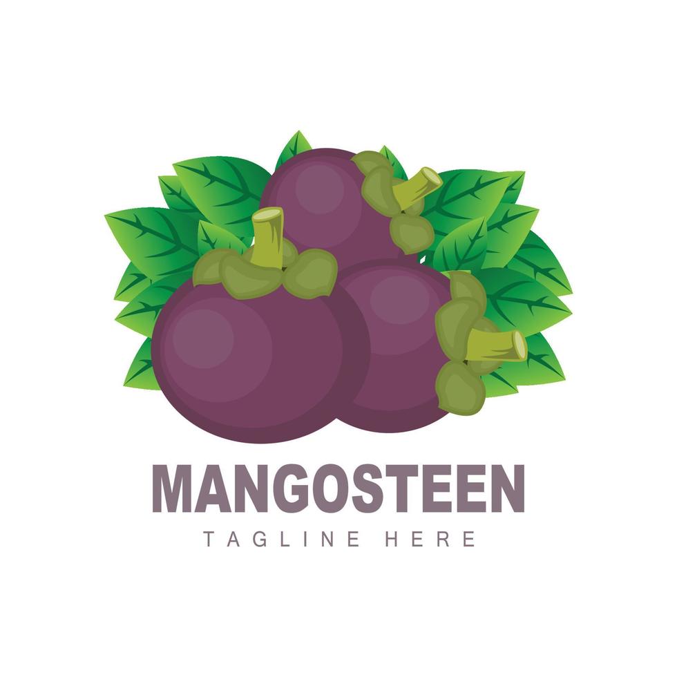 Mangosteen Logo Design, Fresh Fruit Vector for Skin Health, Fruit Shop Brand Illustration And Natural Skin Medicine