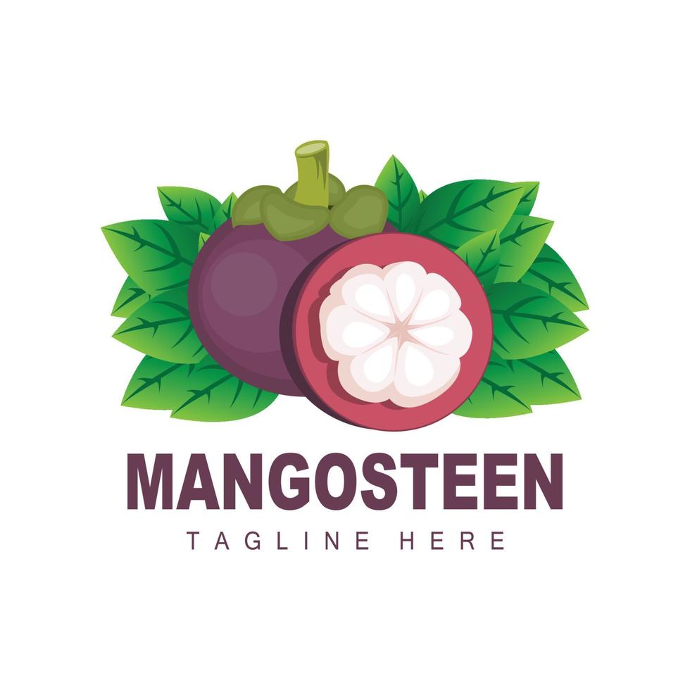 diseño del logotipo de mangostán, vector de fruta fresca para la salud de la piel, ilustración de la marca de la tienda de frutas y medicina natural de la piel