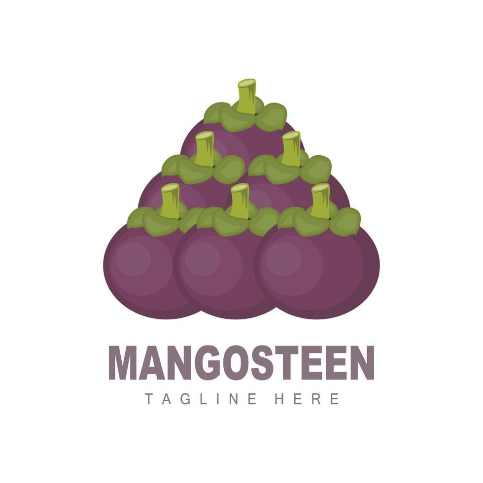 diseño del logotipo de mangostán, vector de fruta fresca para la salud de la piel, ilustración de la marca de la tienda de frutas y medicina natural de la piel