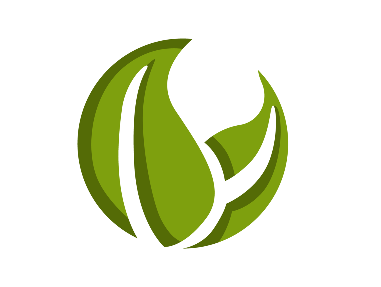 icône du logo éco feuille verte png