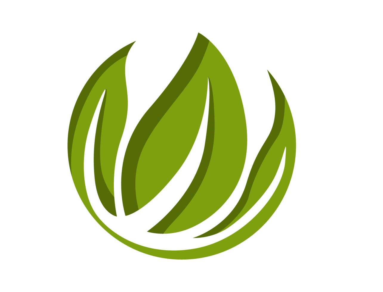 icône du logo éco feuille verte png