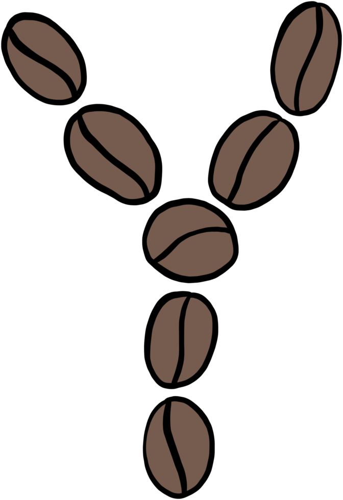 klotter freehand skiss teckning av kaffe böna alfabet. png