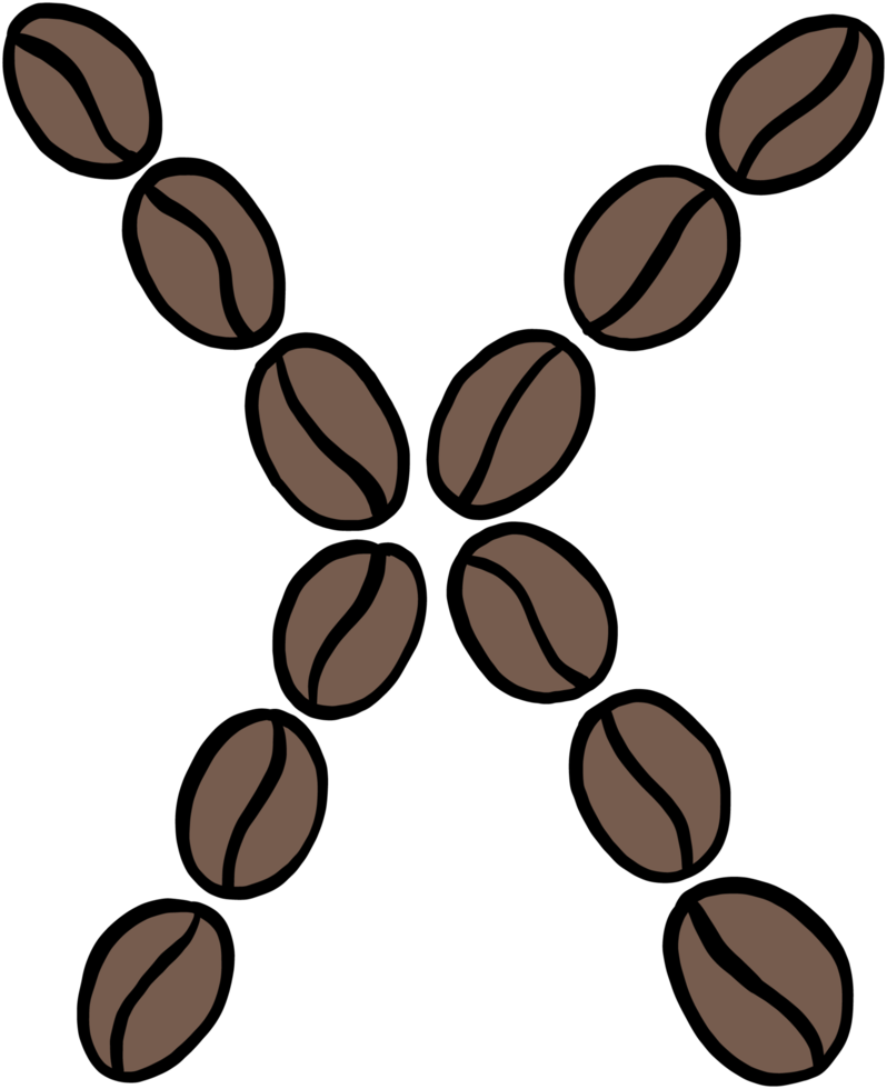 doodle desenho à mão livre do alfabeto de grãos de café. png