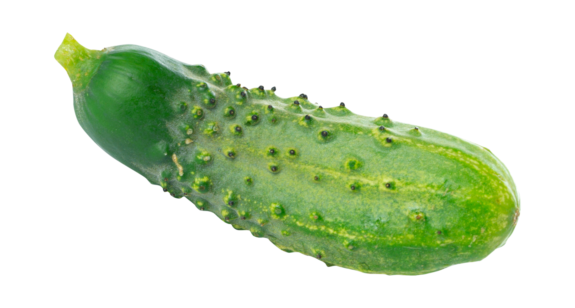 green cucumber isolated png