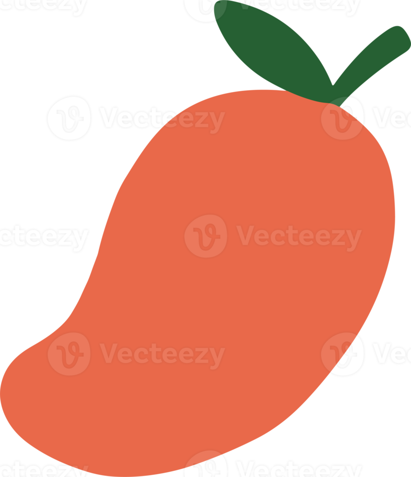 mango fruit illustration in cute and simple for design element png