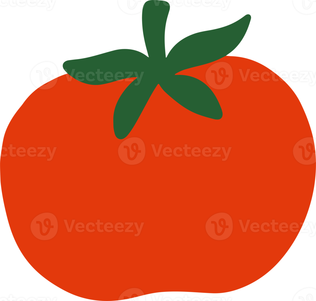 tomato fruit illustration in cute and simple for design element png