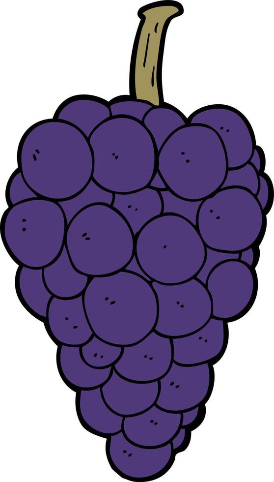 doodle cartoon grapes vector