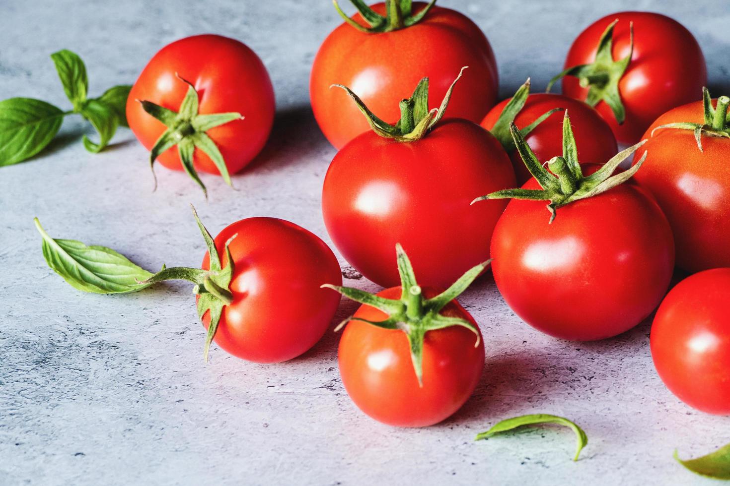 Red tomatoes with green basil leaves on gray concrete background, selective focus photo
