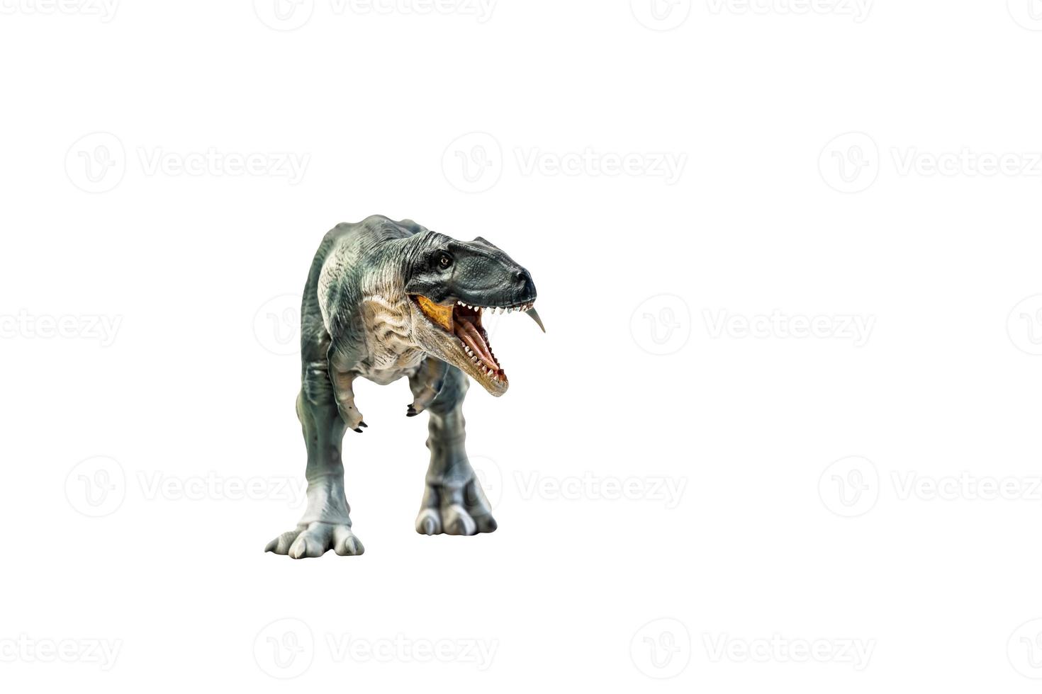 dinosaurio, giganotosaurio en un camino aislado de recorte de fondo foto