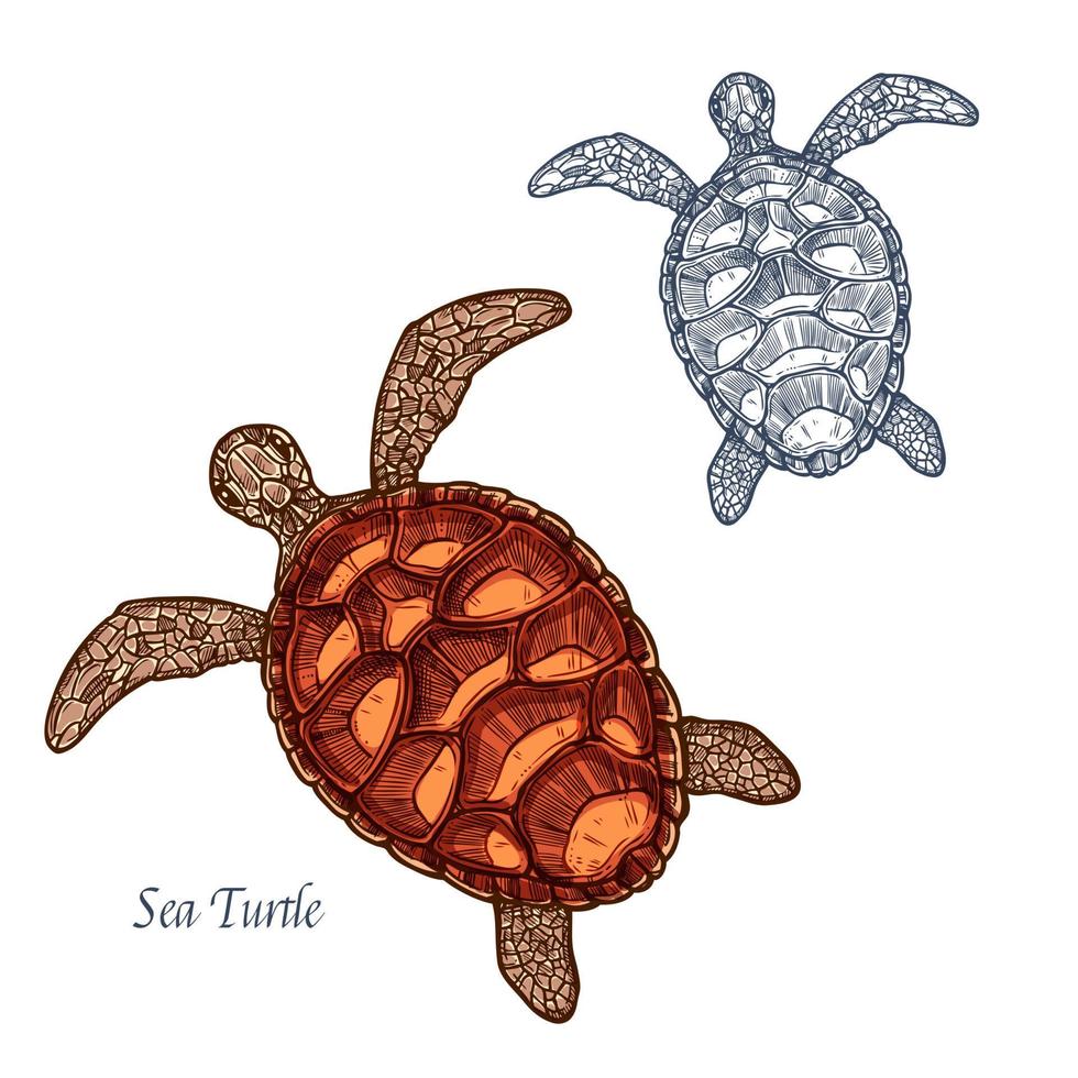 icono de esbozo aislado de vector de tortuga marina