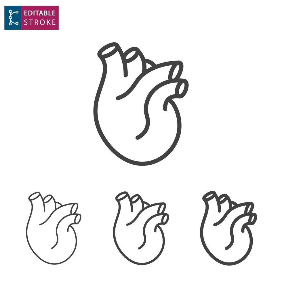 Human heart line icon on white background. Editable stroke. vector