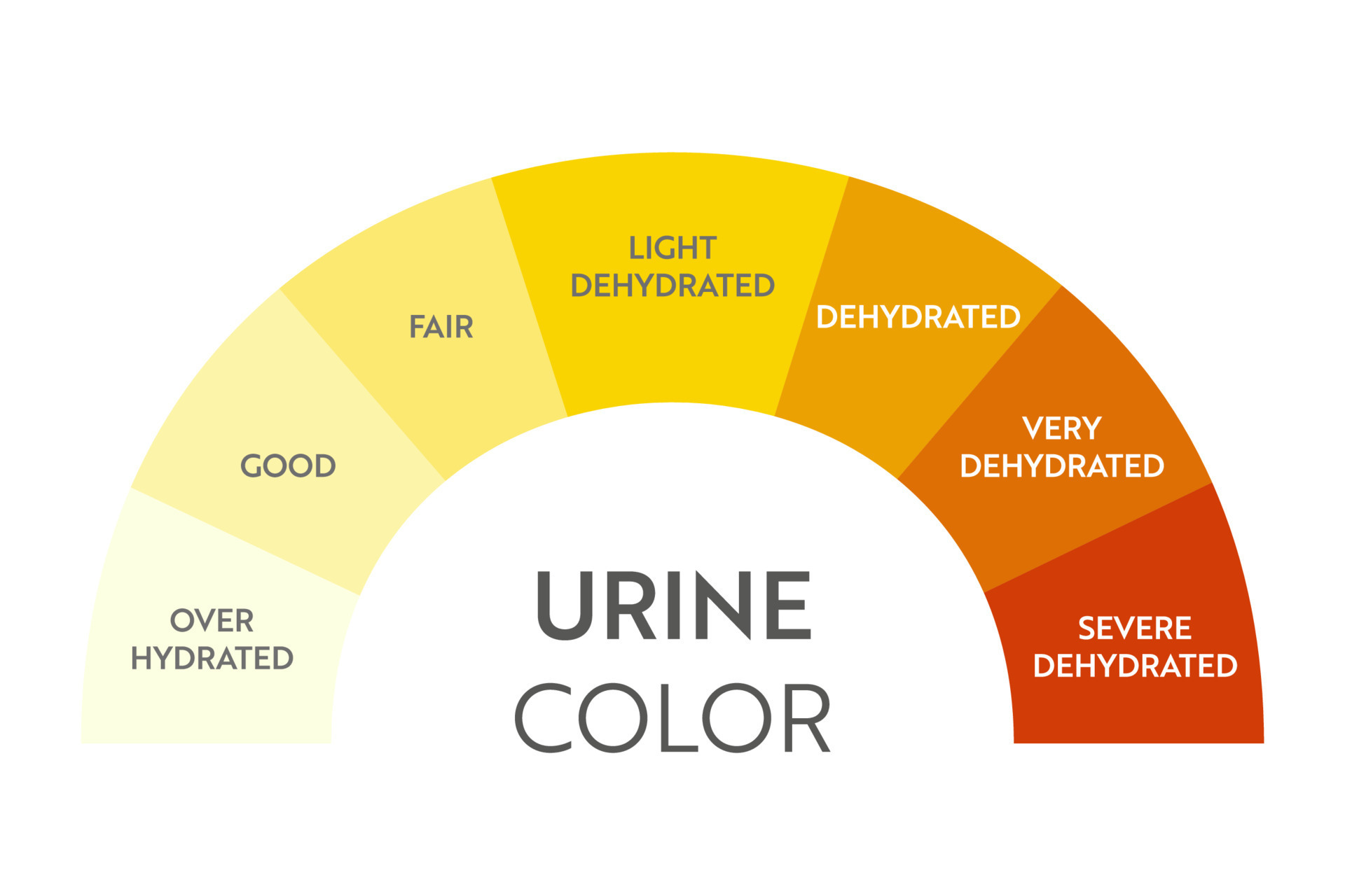 Tabla De Colores De La Orina Tira De Prueba De Hidrataci n Y colors-of-urine-chart-printable