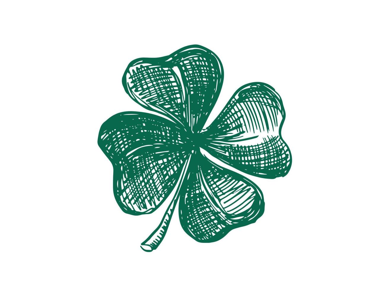 Clover, St. Patrick's Day. Hand drawn illustrations. Vector. vector