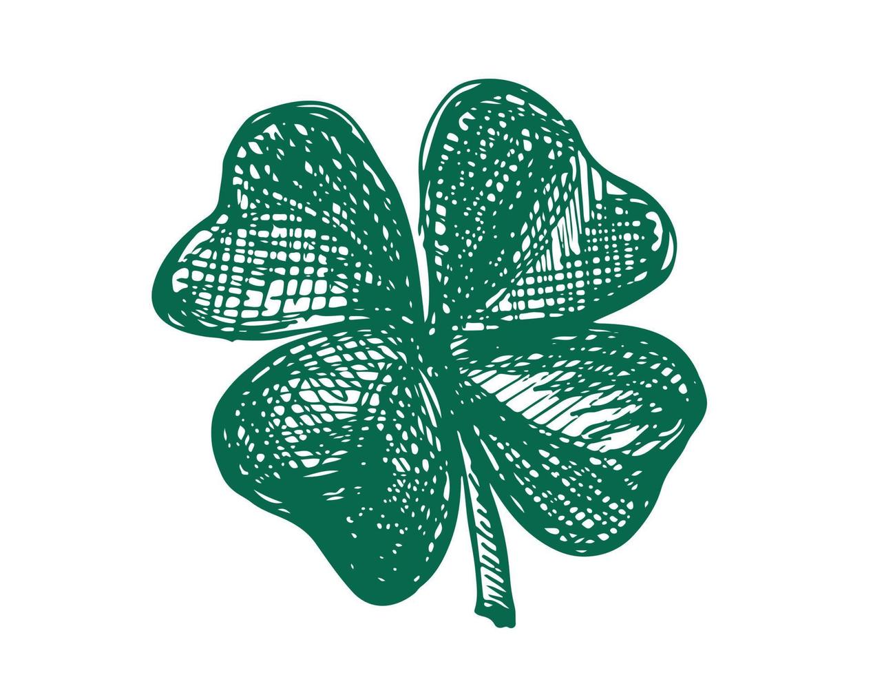 Clover, St. Patrick's Day. Hand drawn illustrations. Vector. vector