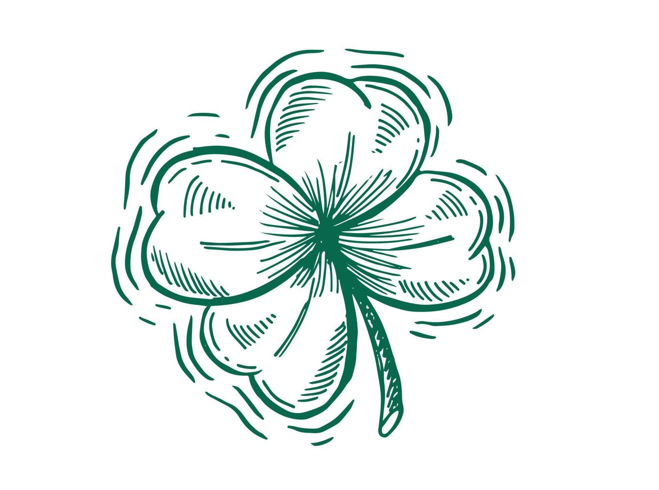 Clover, St. Patrick's Day. Hand drawn illustrations. Vector. vector