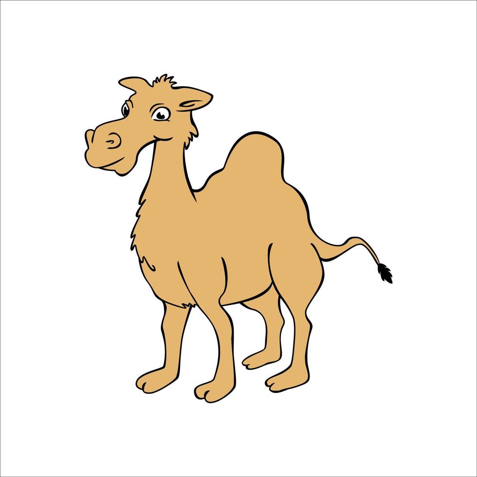 camel cartoon design illustration. desert animal icon, sign and symbol. vector