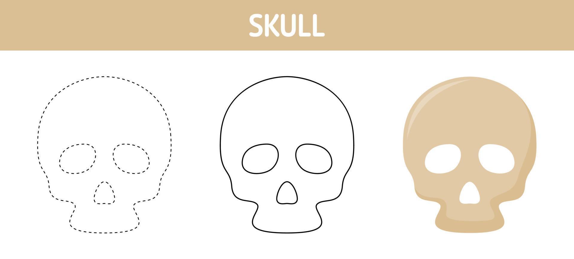 Skull tracing and coloring worksheet for kids vector