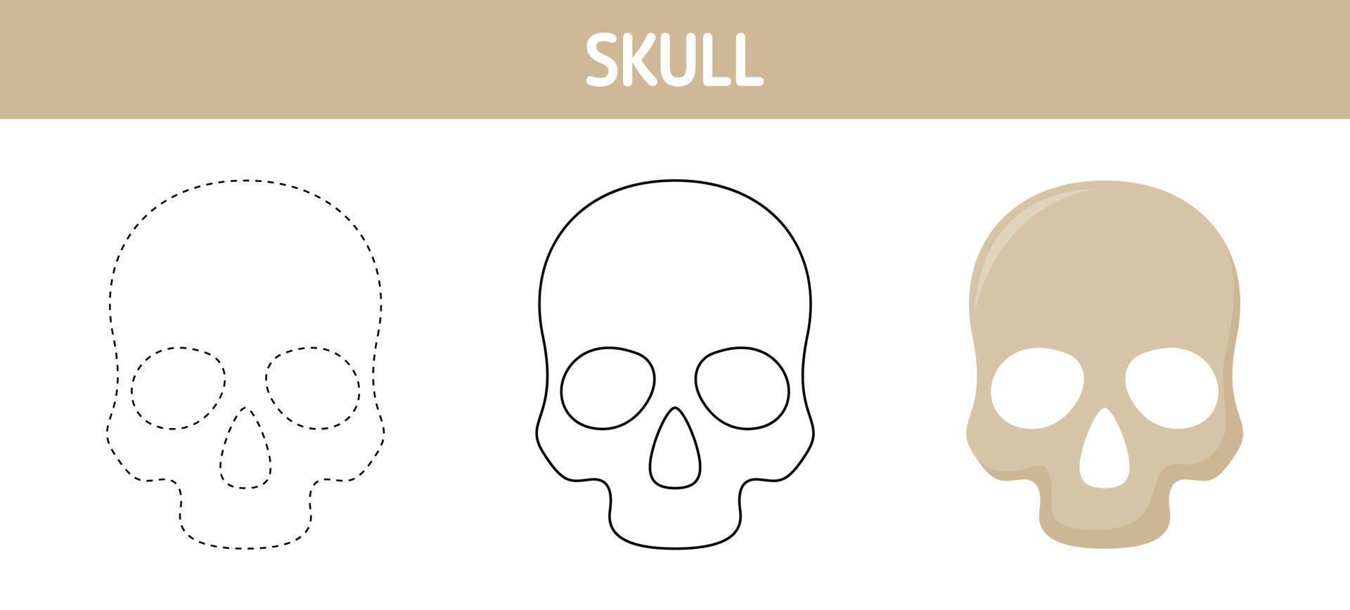 Skull tracing and coloring worksheet for kids vector