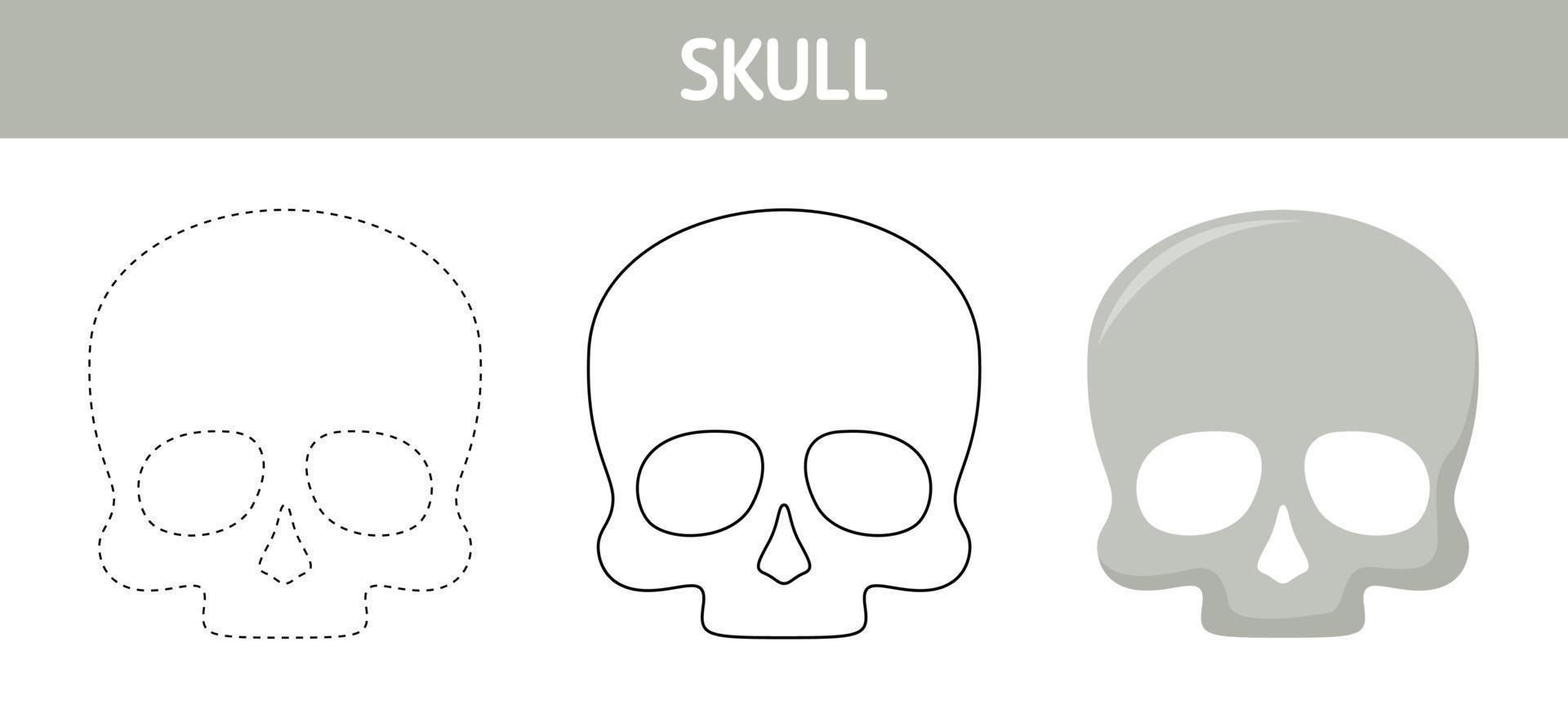 Skull tracing and coloring worksheet for kids vector