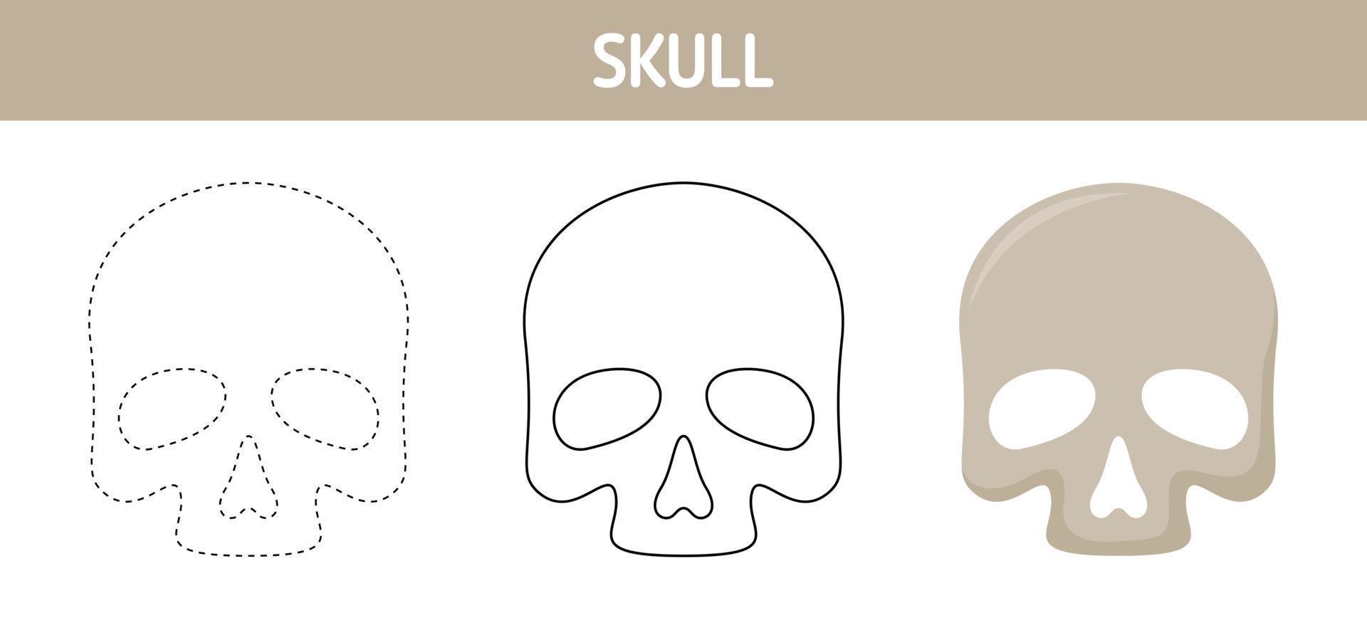 Skull tracing and coloring worksheet for kids vector