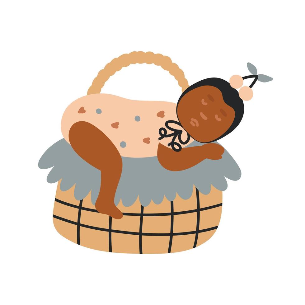 Portrait sleeping newborn baby in wicker basket vector