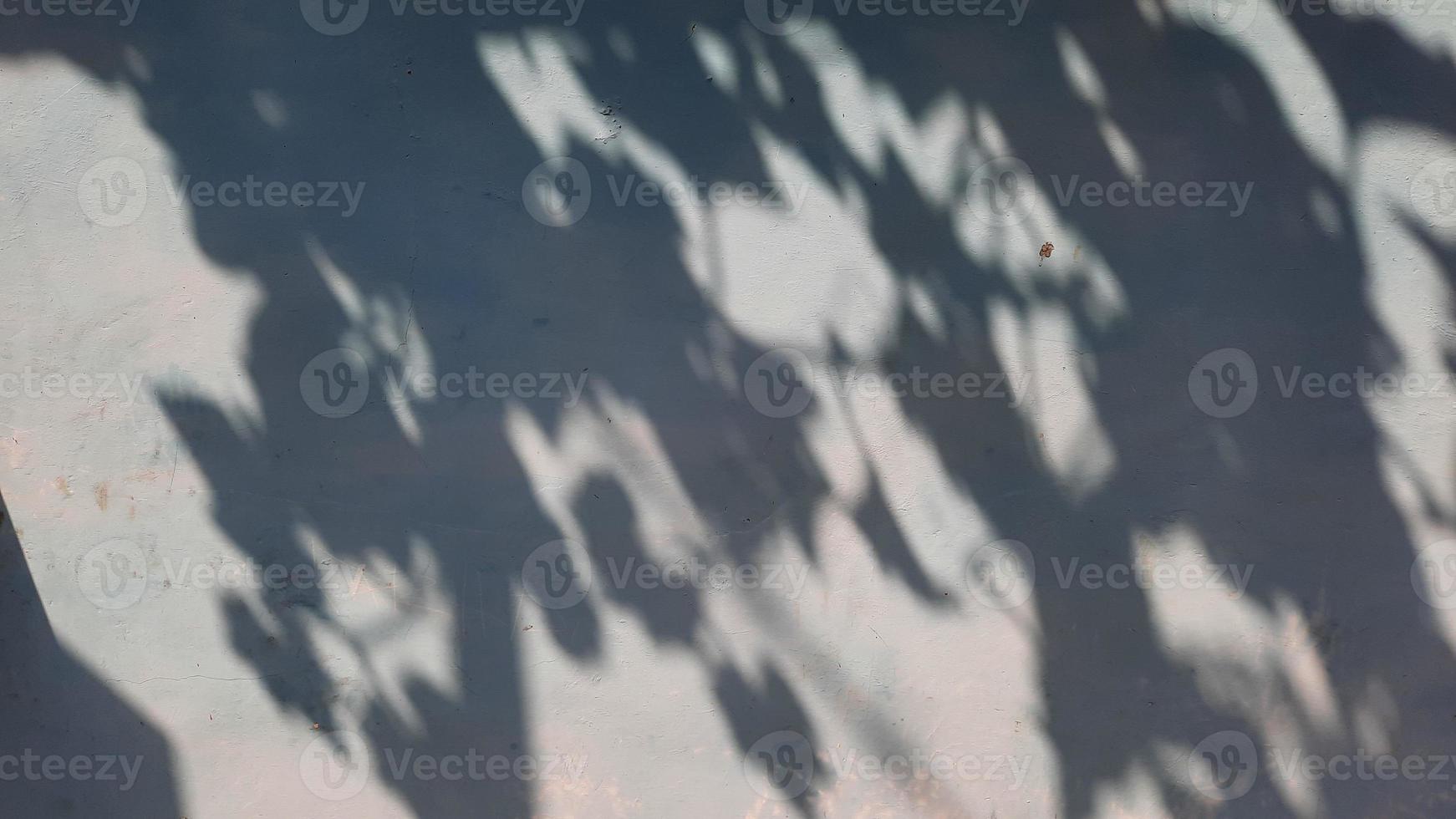 Wall background with decorative leaf shadows 01 photo