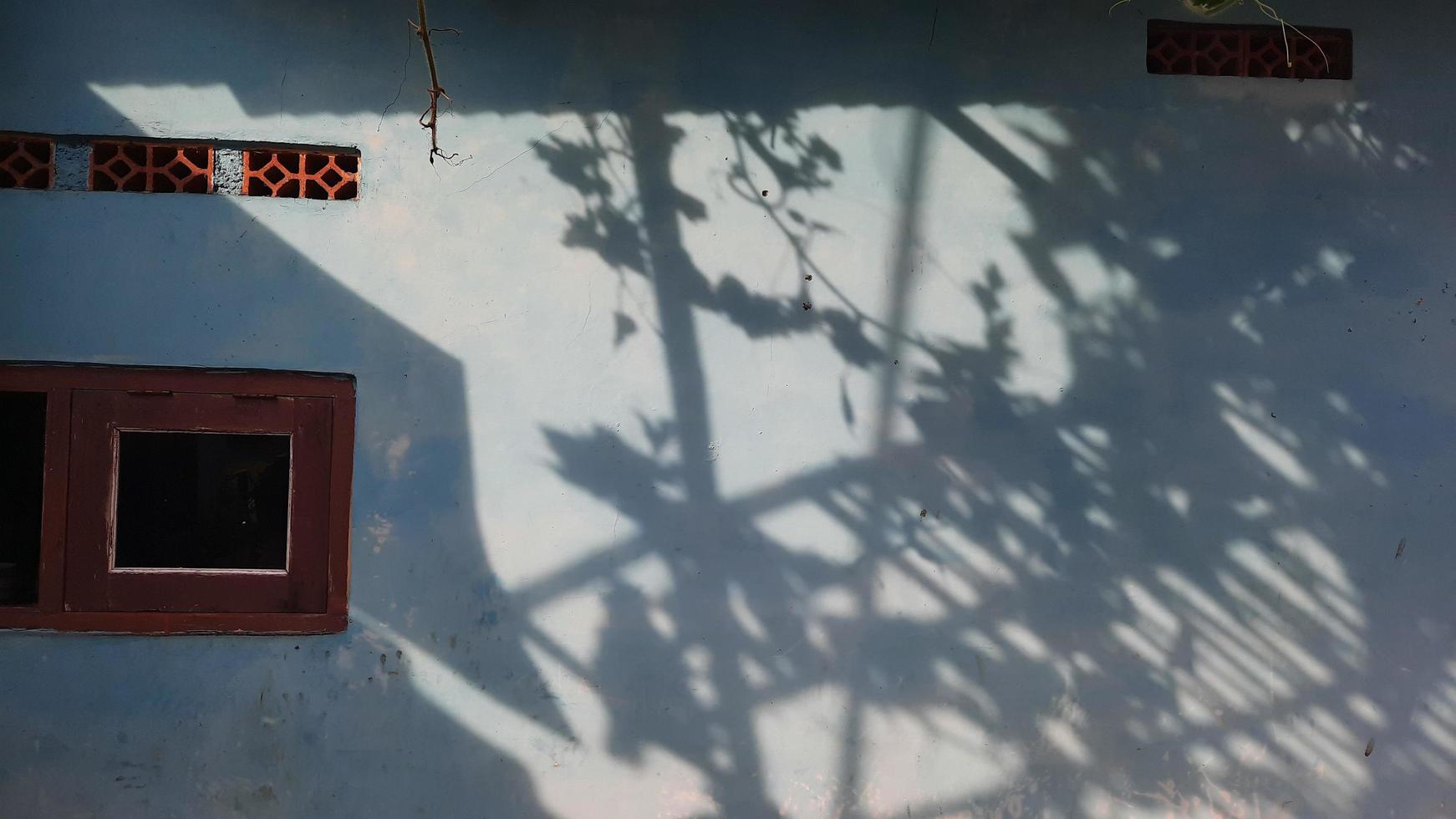 window with plant shadow on the wall photo