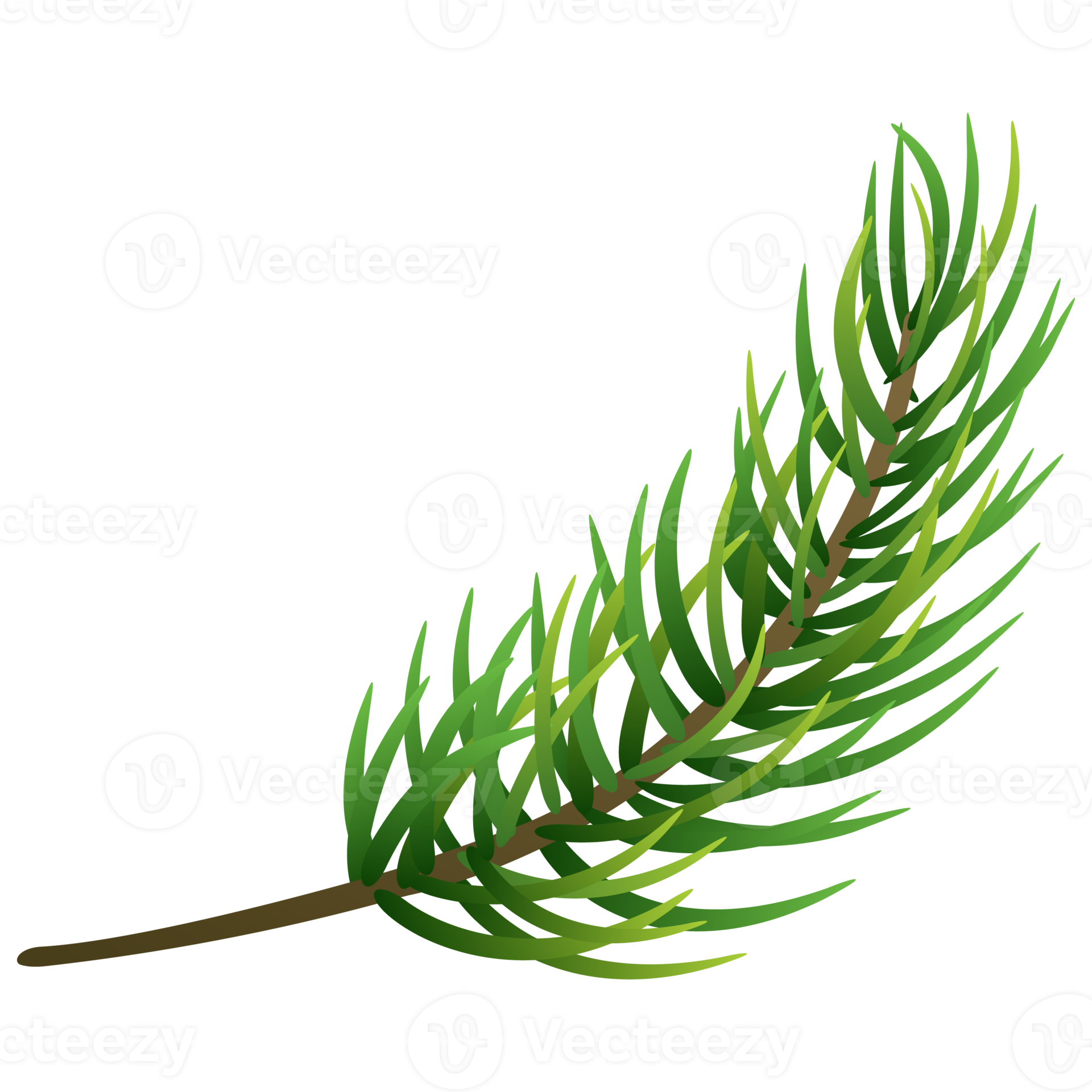 Fir tree branch. Christmas pine tree. 12995589 PNG