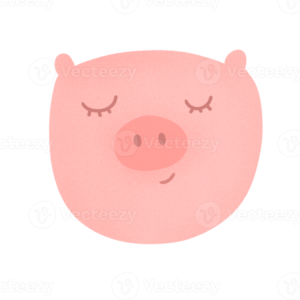 Hand drawn pig for decorative png