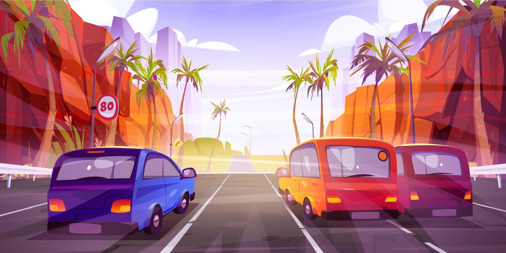 Cars drive on highway with palm trees vector