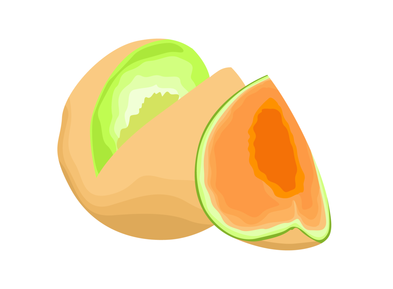 Fruit - Fresh Melon Slices png