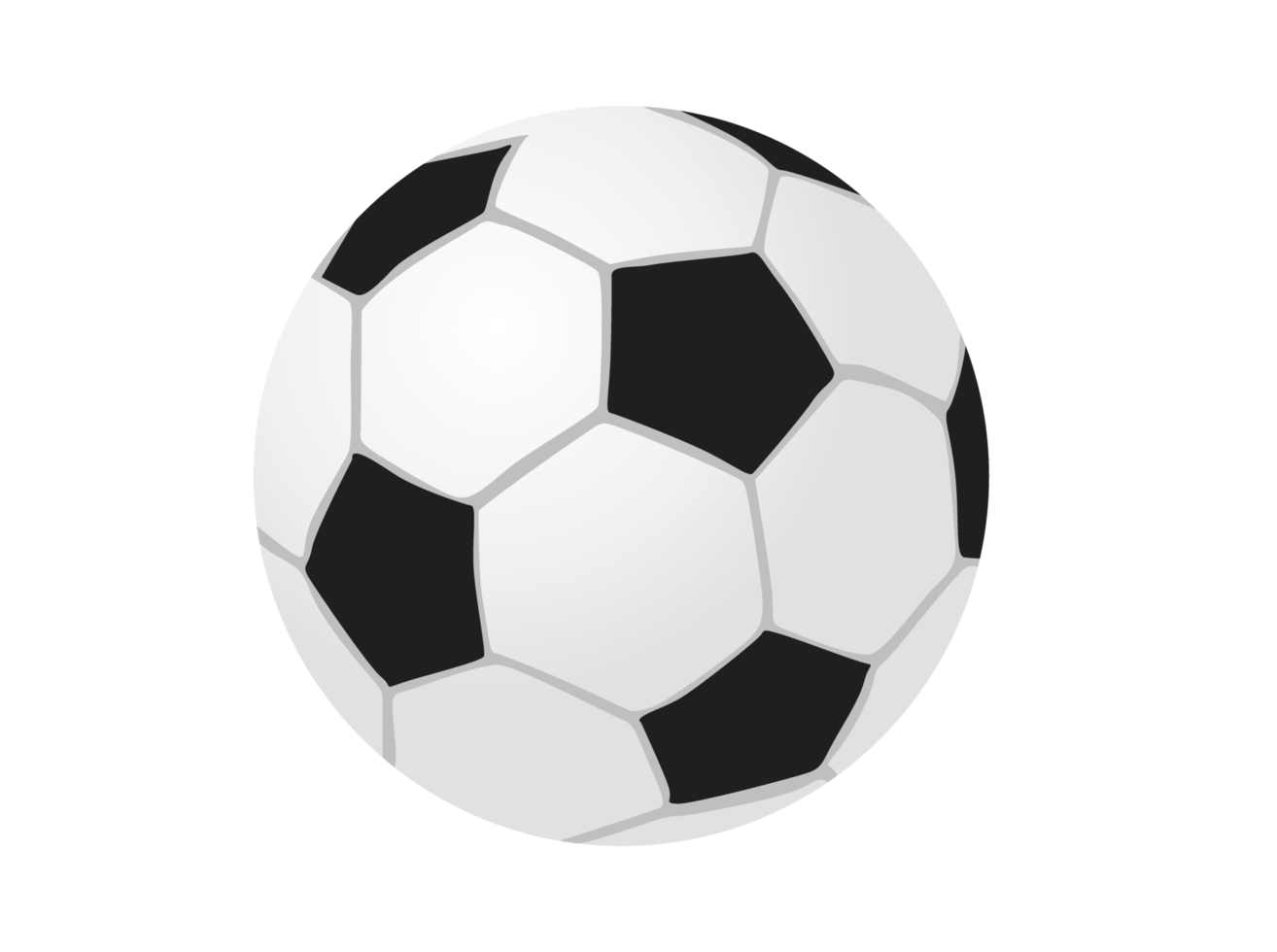 ballon de sport - football png