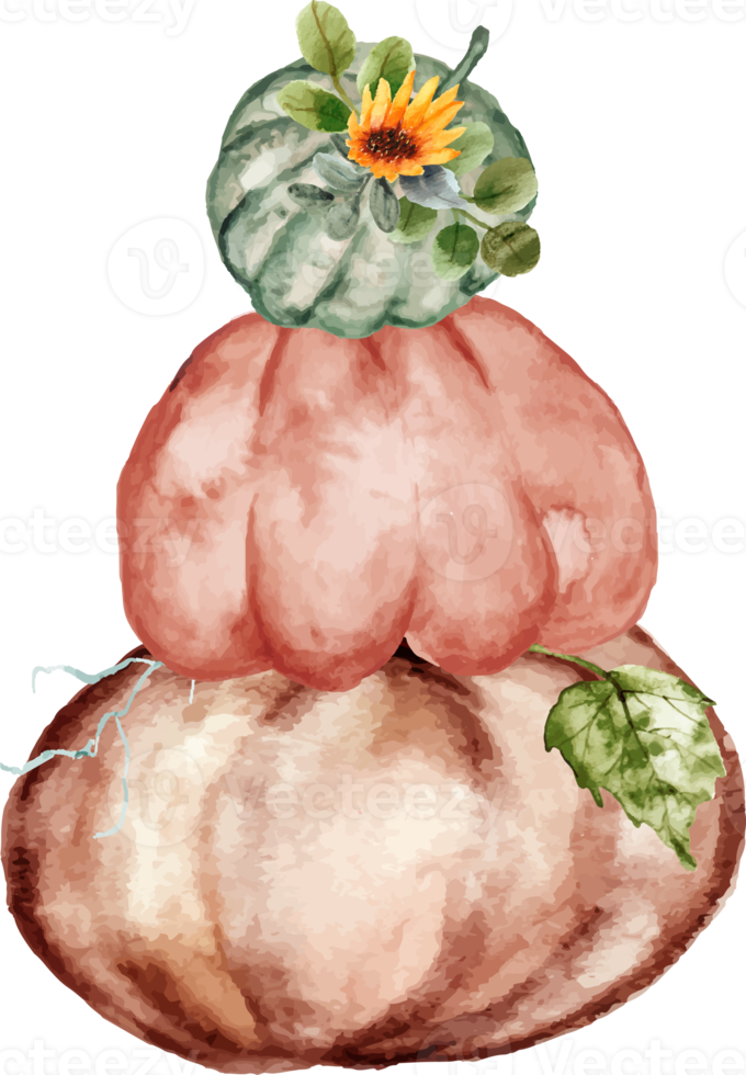 watercolor pumpkin with sunflower png