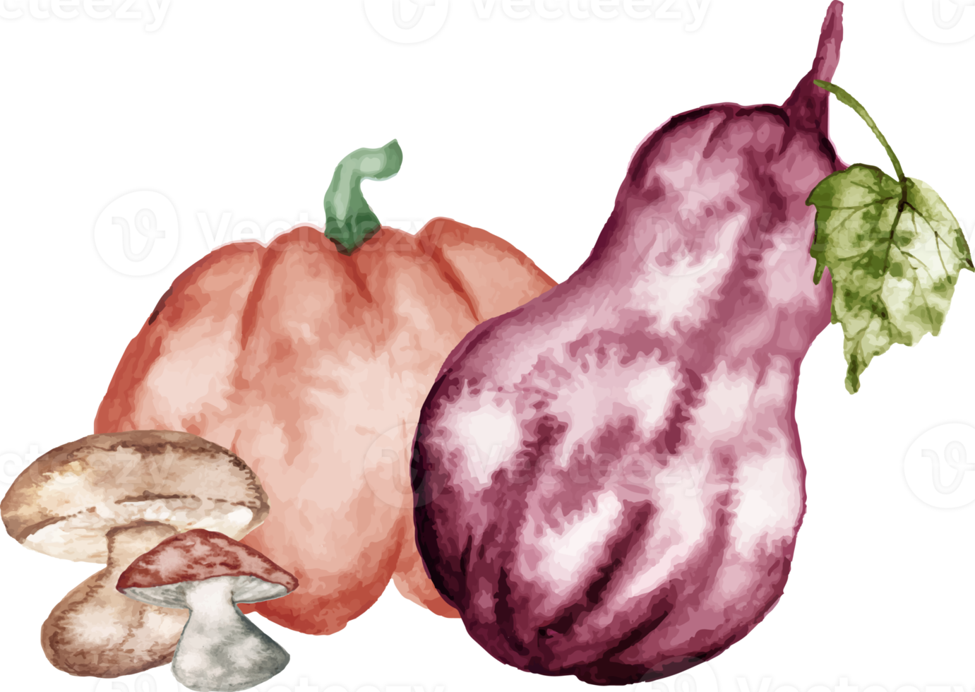 watercolor pumpkin with mushroom png