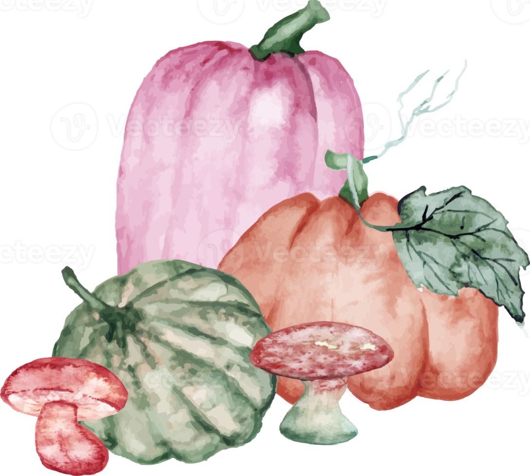 watercolor pumpkin with mushroom png