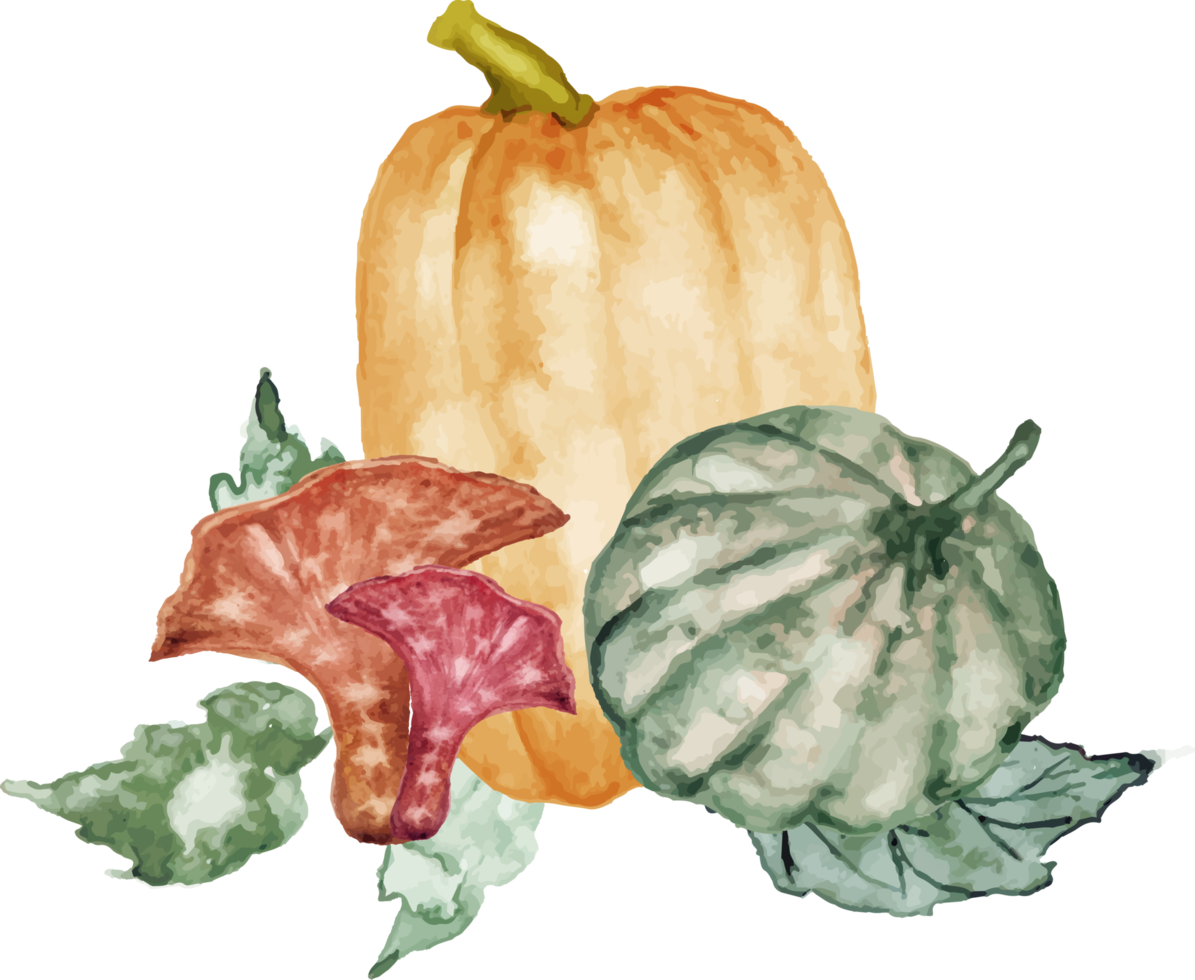 watercolor pumpkin with mushroom png