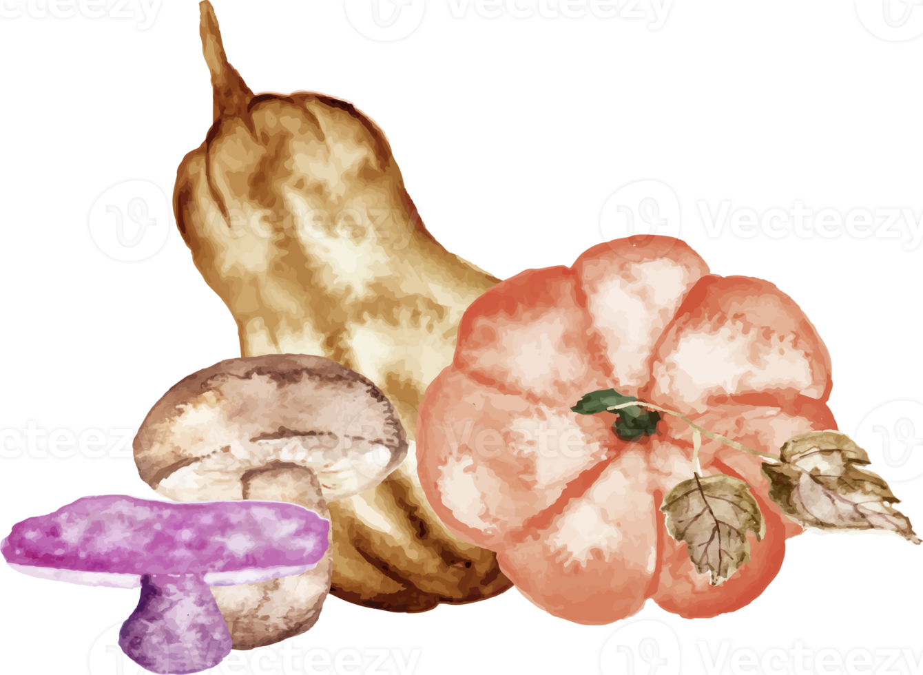 watercolor pumpkin with mushroom png